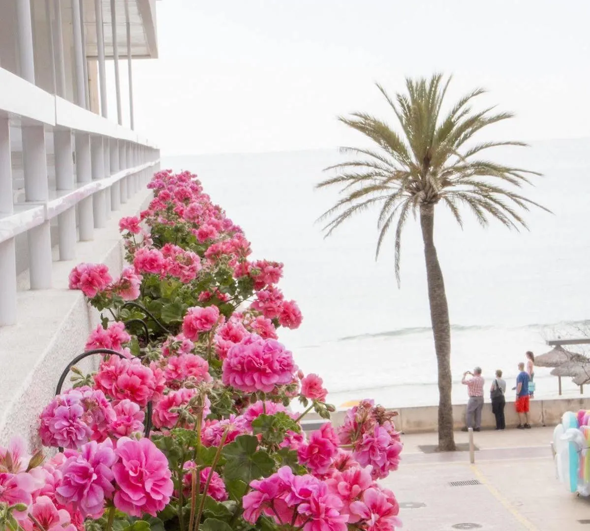 Hotel Voramar Cala Millor